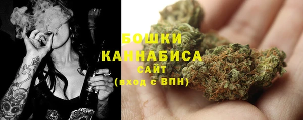 сатива Балабаново